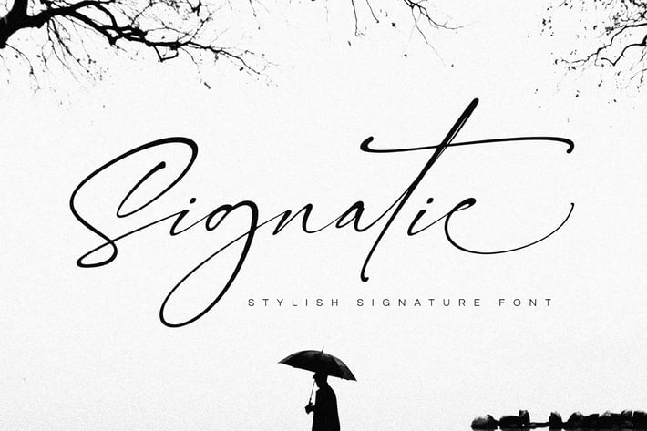 Signatie - Stylish Signature Font