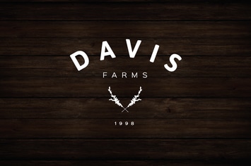 Rustic Olive Branch Illustration Logo