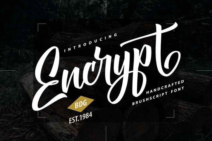 Encrypt | Handcrafted Brush Script Font