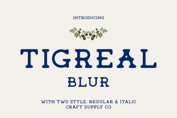 Tigreal Blur