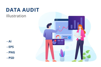 Data Audit Illustration