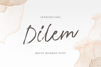 Dilem - Beauty Script Brush Font