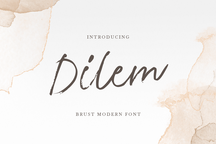 Dilem - Beauty Script Brush Font