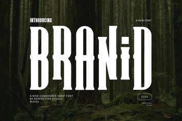 Branid Elegant Serif Font Typeface
