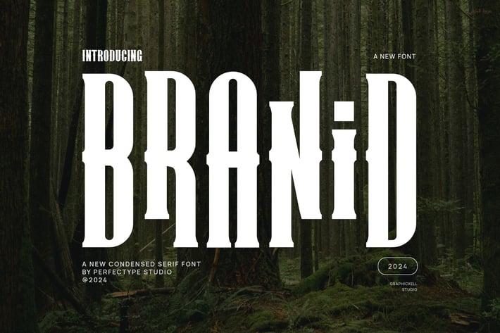 Branid Elegant Serif Font Typeface