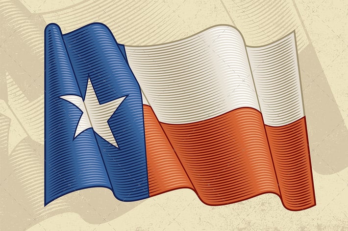 Vintage Flag Of Texas