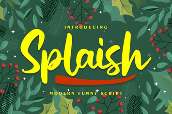 Splaish | Modern Funny Script Font