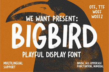 Bigbird Playful Display Font