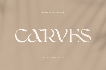 CARVES - Modern Display Font