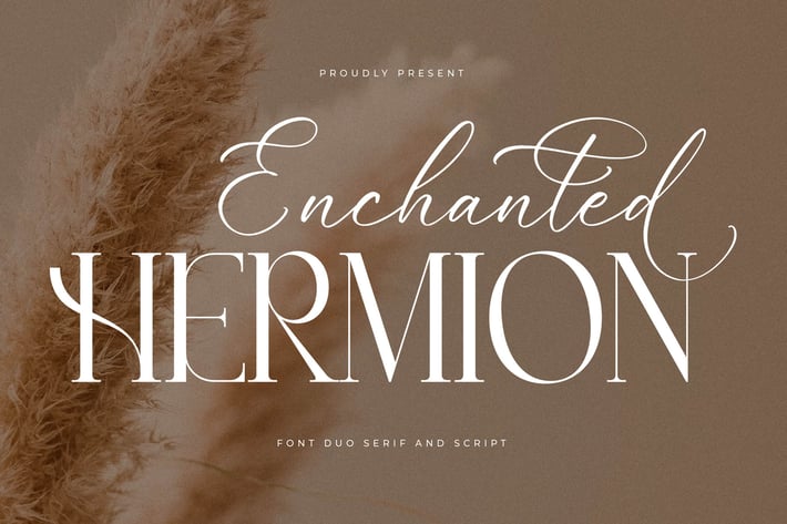 Enchanted Hermion Font Duo 