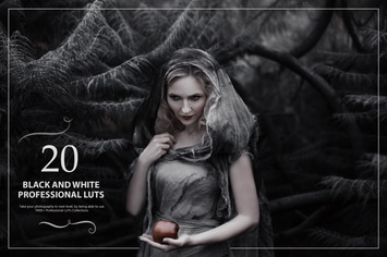 20 Black&White LUTs (Look Up Tables)