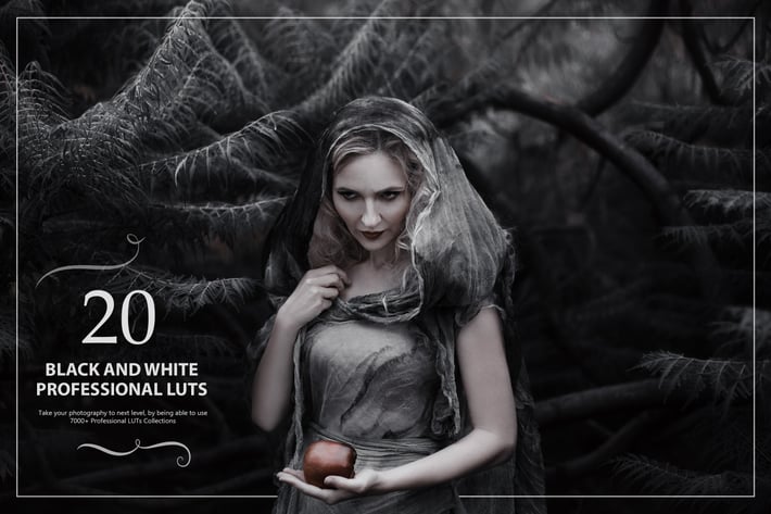 20 Black&White LUTs (Look Up Tables)