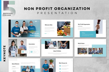 NGO - non-governmental organizations - Keynote