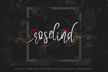Roselind Handwritten Font with Swashes & Ornaments