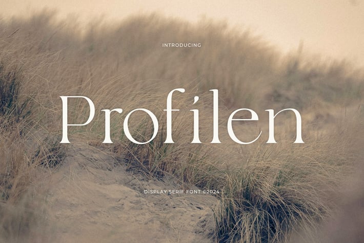 Profilen - Display Serif Font