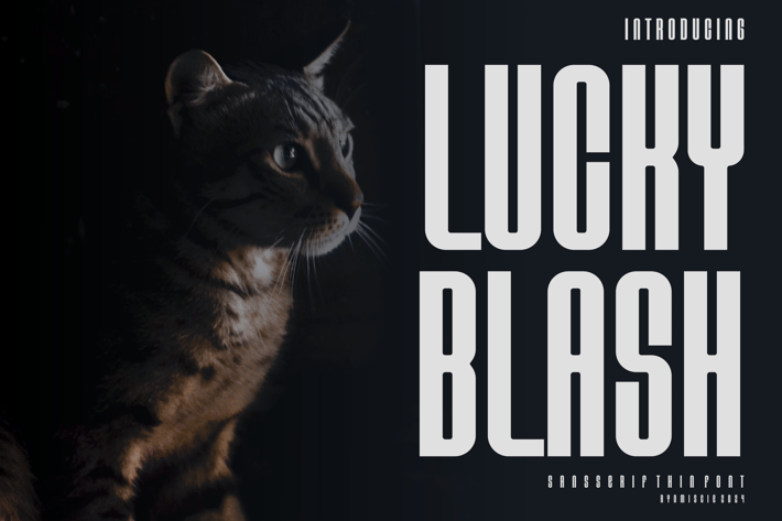 Lucky Blash - Modern Sans Font
