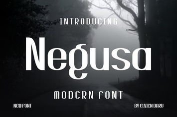 Negusa - Modern Font