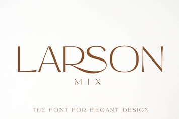 Larson Mix Modern Advertisement Font