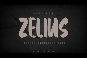 Zelius - Modern Handbrush Font