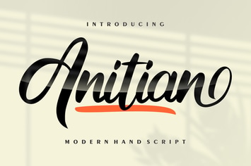 Anitian | Modern Hand Script Font