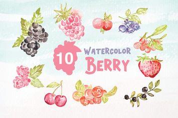 10 Watercolor Berry Illustration Graphics