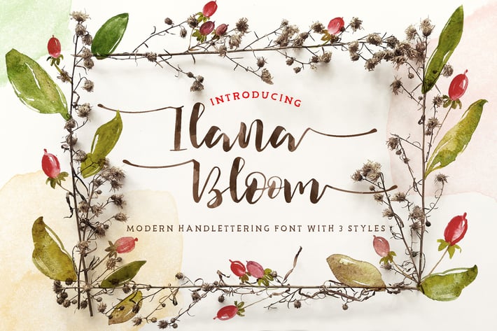 Ilana Bloom