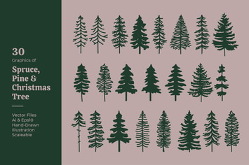 Spruce, Pine & Christmas Tree Silhouette Vector
