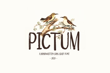 Pictum - Handwritten
