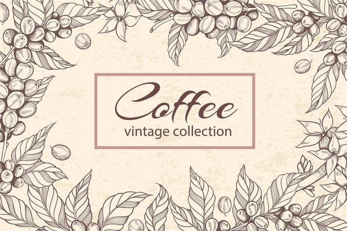 Vintage Vector Coffee Design Kit