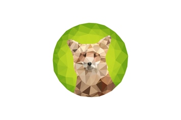 Triangled Fox Portrait