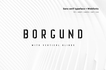 Borgund Blinds - Modern Typeface + WebFont