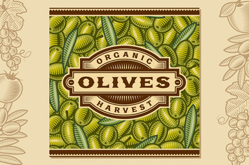 Retro Olive Harvest Label