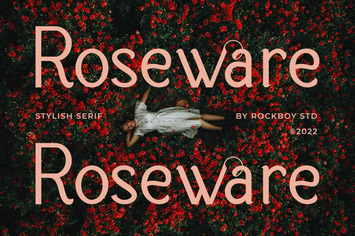 Roseware -  Modern Stylish