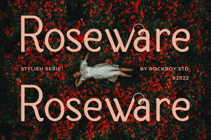 Roseware -  Modern Stylish
