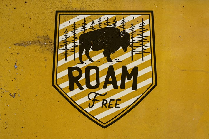 Retro Camp T-Shirt Design, Logo Adventure Quote