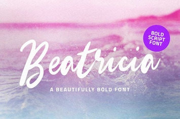Beatricia | Modern Script Font