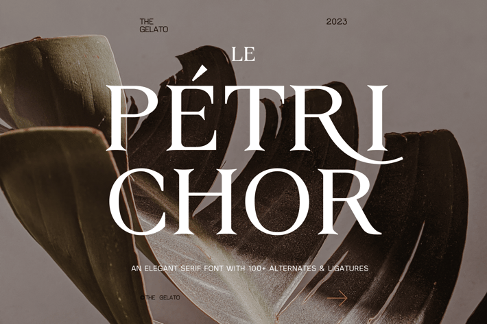 LE  PÉTRICHOR Modern Minimal Elegant Serif Font