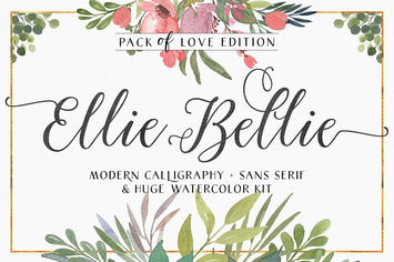 Ellie Bellie Font Duo