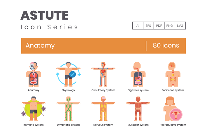 80 Anatomy Flat Icons