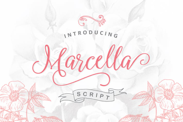 Marcella Script