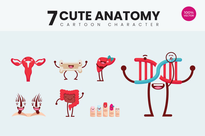7 Cute Human Anatomy Vector Illustration Vol.3