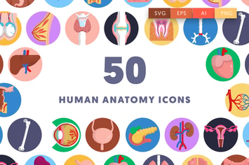 50 Human Anatomy Icons