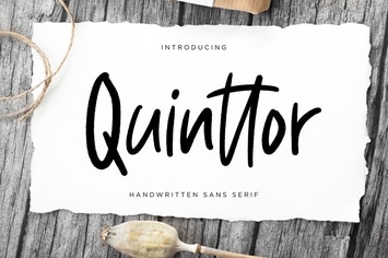 Quinttor Sans Business Font