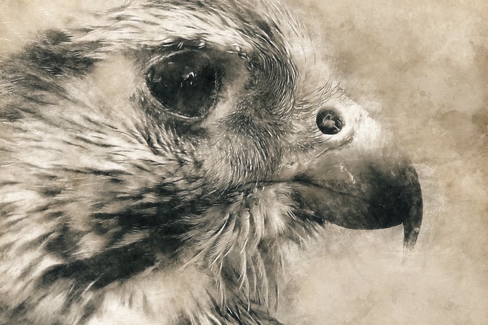 Vintage Photoshop Action