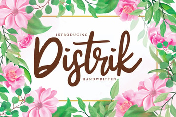 Distrik | Handwritten Script Font