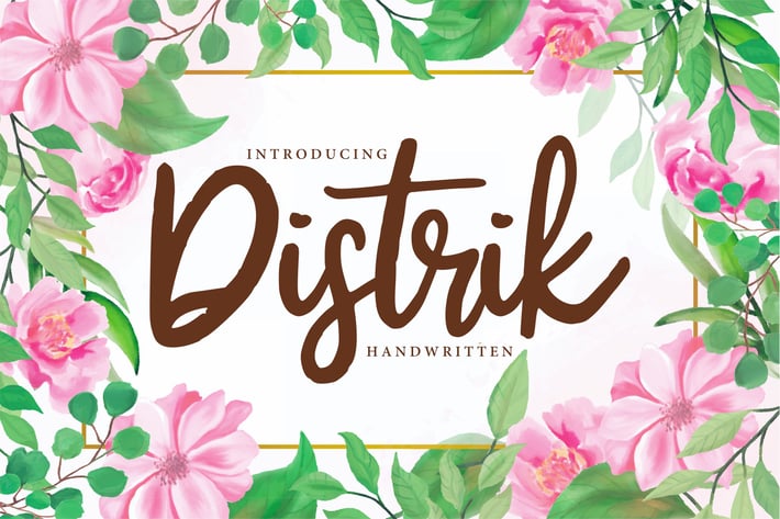 Distrik | Handwritten Script Font