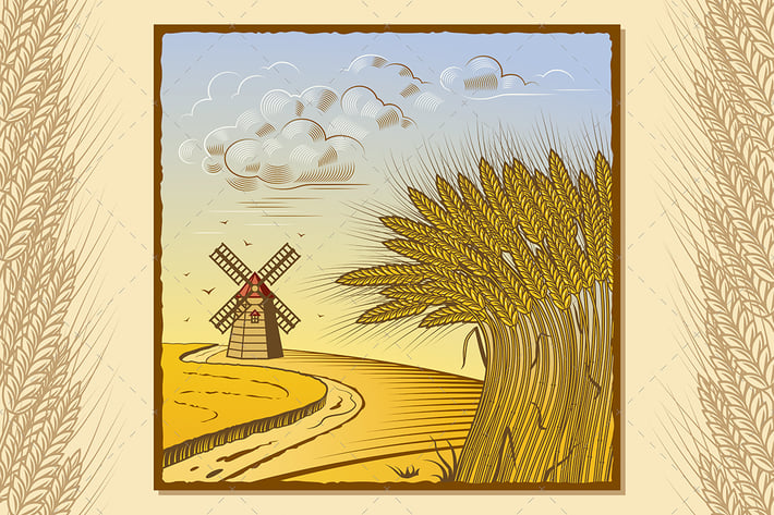 Wheat Fields