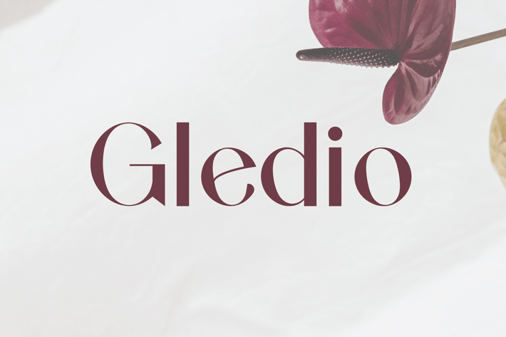 Modern Stylish Serif Font