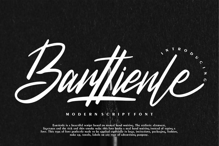 Barttienle | Modern Script Font