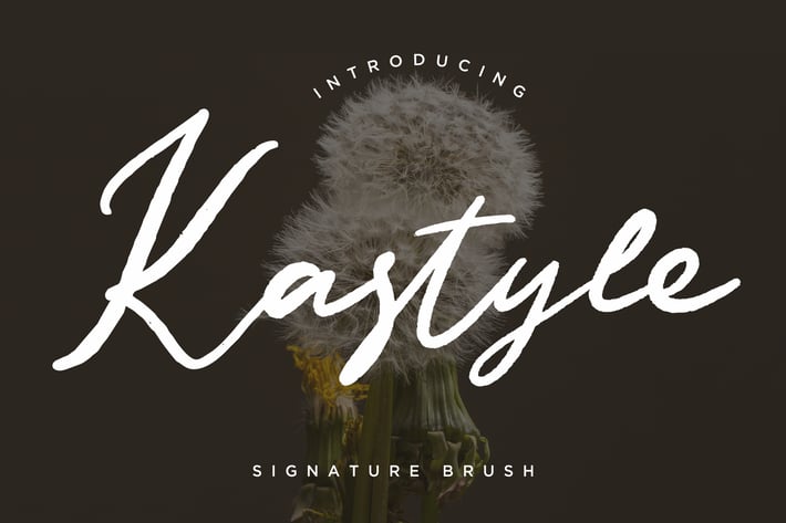 Kastyle Brush Business Font